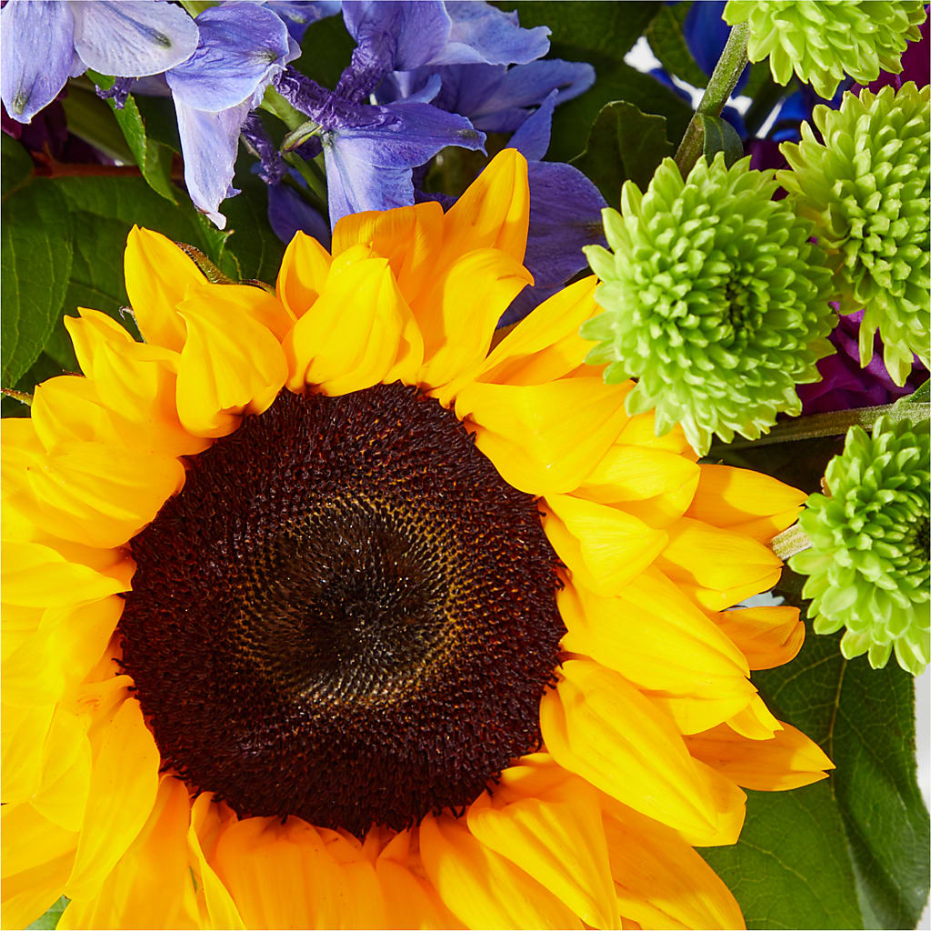 Catching Rays Bouquet – The Shoppe At Wildflower Hill, Lampasas TX