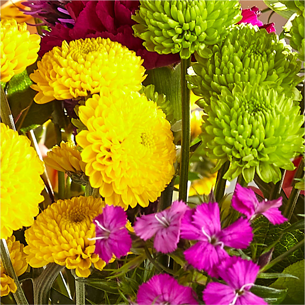 Bold & Bright – A Florist Original –  The Shoppe At Wildflower Hill, Lampasas TX