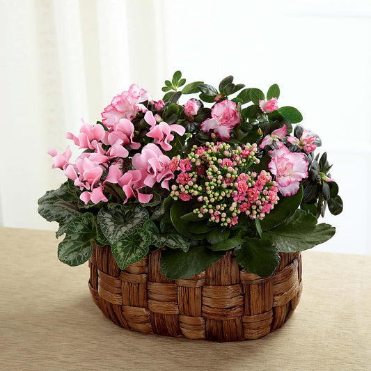 Pink Assortment – THE SHOPPE ON KEY AVENUE FLORAL & GIFTS, Lampasas TX