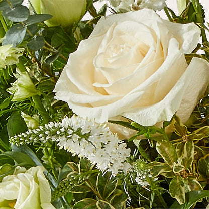 Cashmere Bouquet –  The Shoppe At Wildflower Hill, Lampasas TX