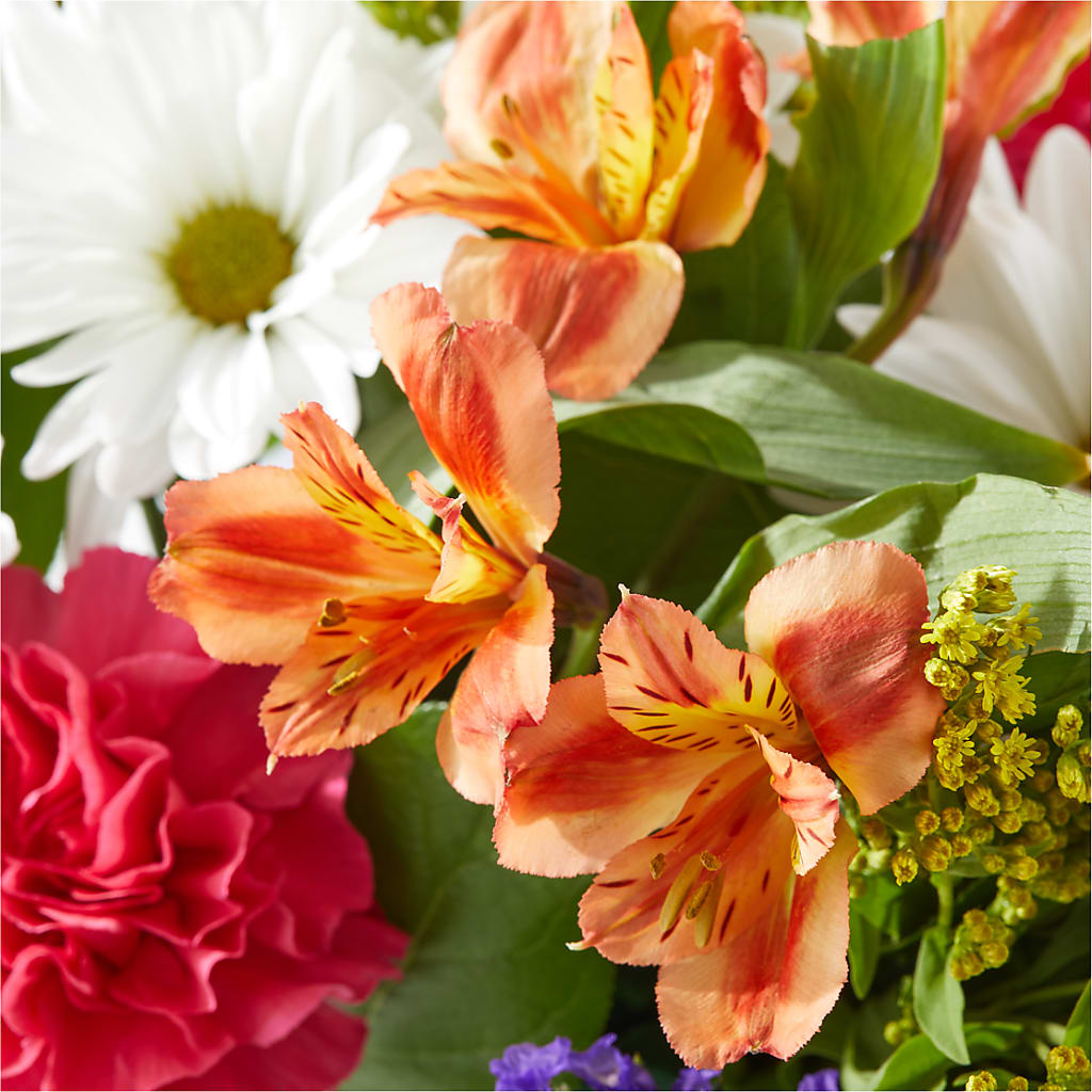 Oopsie Daisy Box Bouquet –  The Shoppe At Wildflower Hill, Lampasas TX