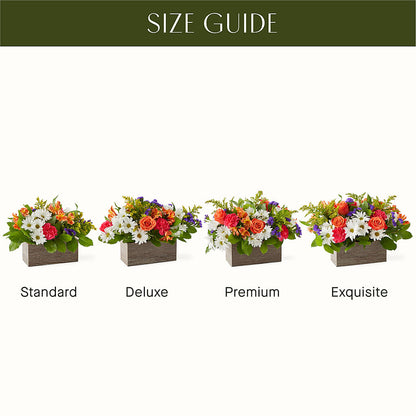 Oopsie Daisy Box Bouquet –  The Shoppe At Wildflower Hill, Lampasas TX