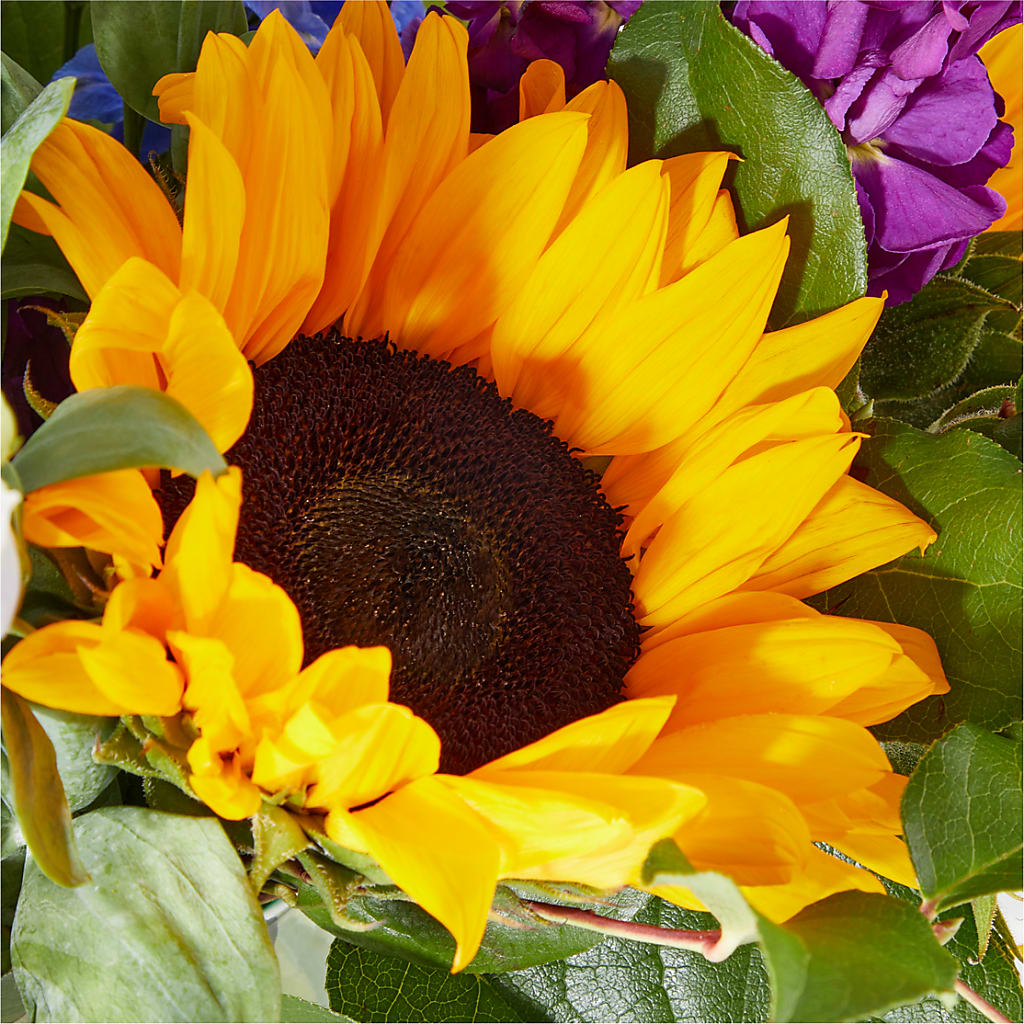 Catching Rays Bouquet –  The Shoppe At Wildflower Hill, Lampasas TX