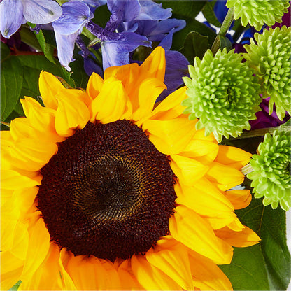 Catching Rays Bouquet –  The Shoppe At Wildflower Hill, Lampasas TX