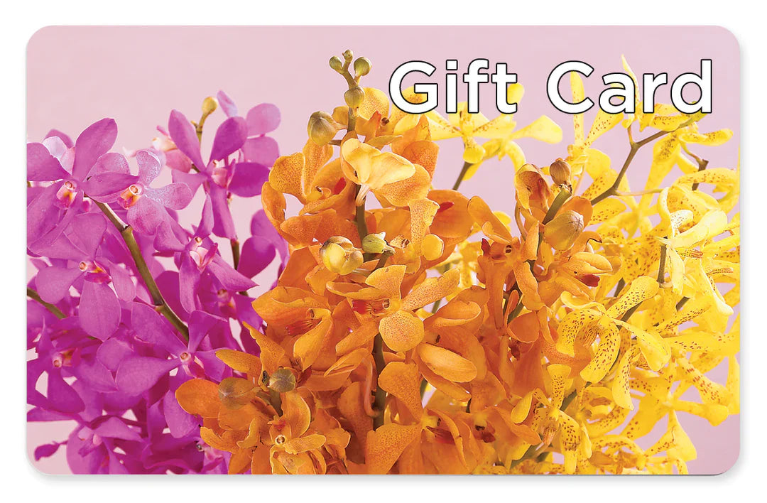 Gift Card – THE SHOPPE ON KEY AVENUE FLORAL & GIFTS, Lampasas TX