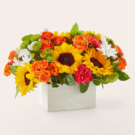 Sun-drenched Blooms Box Bouquet –  The Shoppe At Wildflower Hill, Lampasas TX
