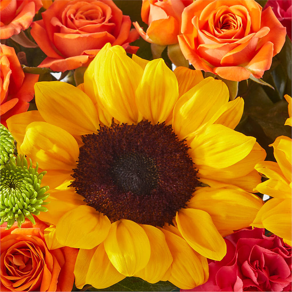 Sun-drenched Blooms Box Bouquet –  The Shoppe At Wildflower Hill, Lampasas TX