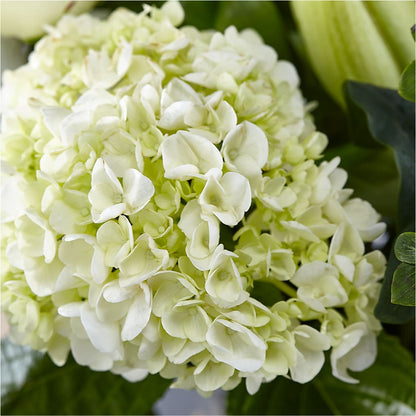 Classic Ivory – A Florist Original –  The Shoppe At Wildflower Hill, Lampasas TX