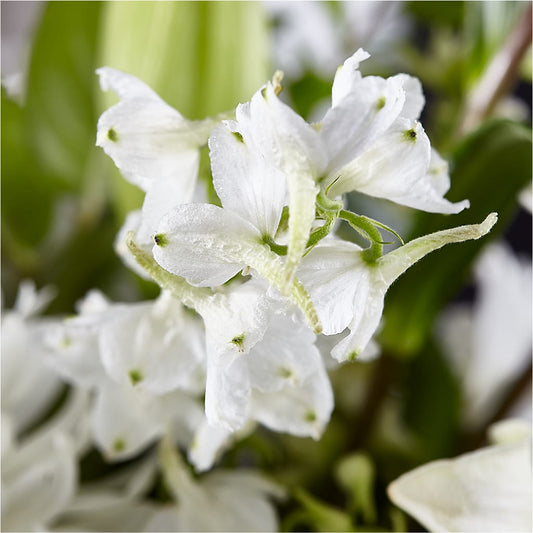 Classic Ivory – A Florist Original –  The Shoppe At Wildflower Hill, Lampasas TX