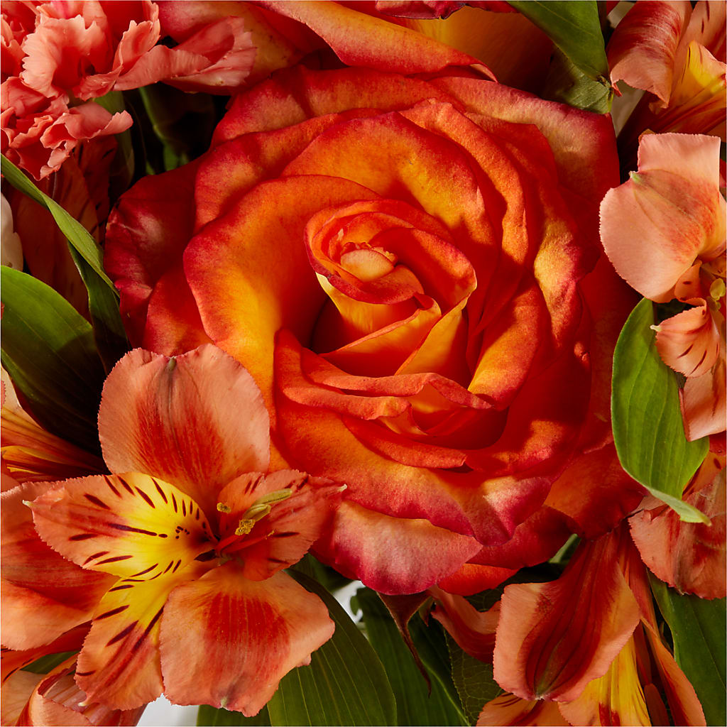 Apricot Glow Bouquet –  The Shoppe At Wildflower Hill, Lampasas TX
