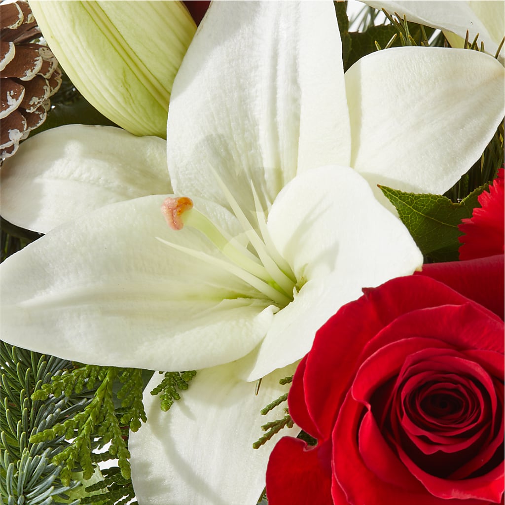 Oh So Jolly Bouquet –  The Shoppe At Wildflower Hill, Lampasas TX