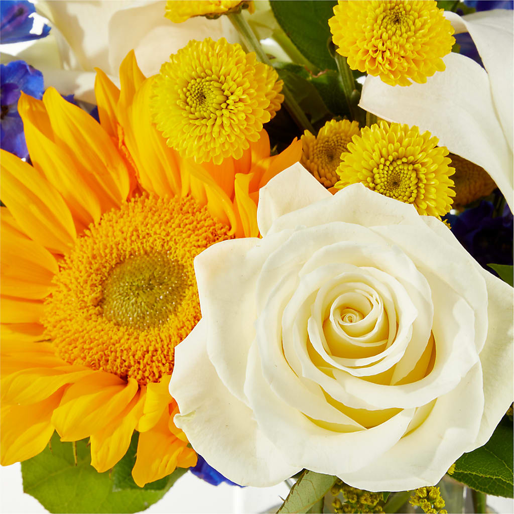 Stargazing Bouquet –  The Shoppe At Wildflower Hill, Lampasas TX