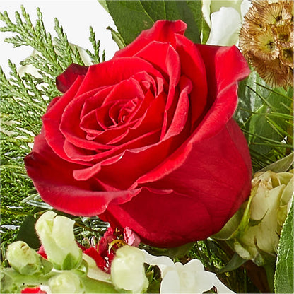 Deck the Halls Bouquet –  The Shoppe At Wildflower Hill, Lampasas TX
