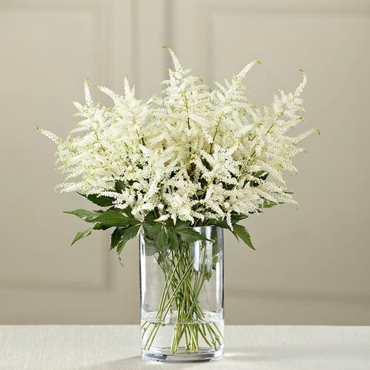 White Astilbe Bouquet – THE SHOPPE ON KEY AVENUE FLORAL & GIFTS, Lampasas TX
