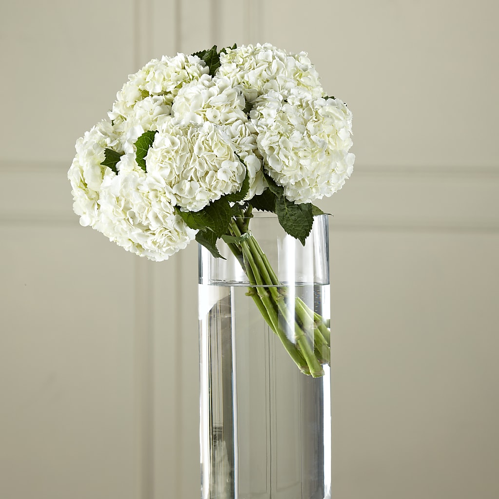 White Hydrangea Hand-Tied Bouquet – THE SHOPPE ON KEY AVENUE FLORAL & GIFTS, Lampasas TX