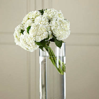 White Hydrangea Hand-Tied Bouquet – THE SHOPPE ON KEY AVENUE FLORAL & GIFTS, Lampasas TX