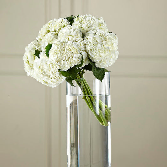 White Hydrangea Hand-Tied Bouquet – THE SHOPPE ON KEY AVENUE FLORAL & GIFTS, Lampasas TX
