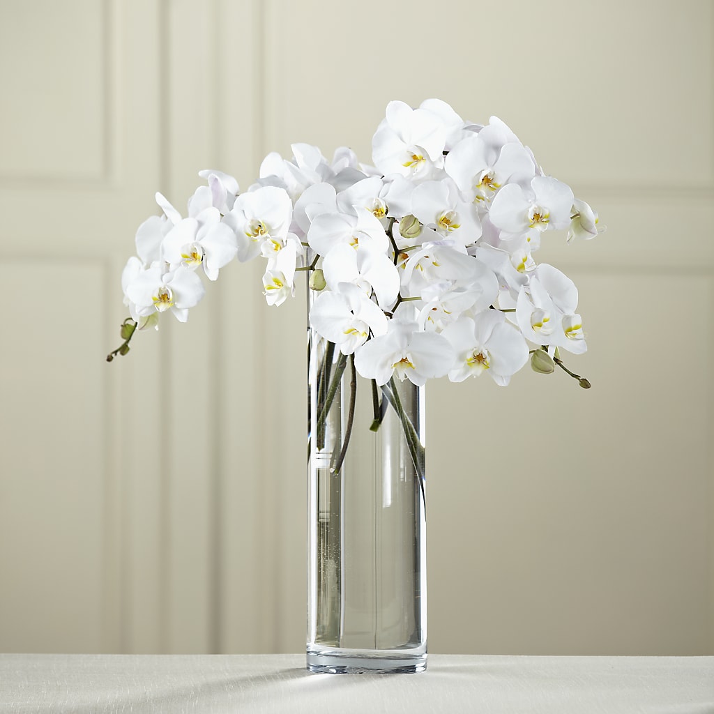 White Phalaenopsis Bouquet – THE SHOPPE ON KEY AVENUE FLORAL & GIFTS, Lampasas TX