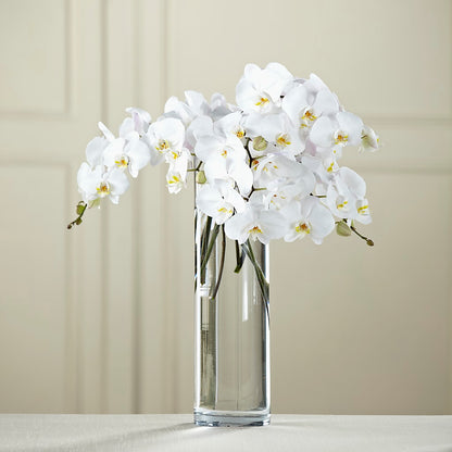 White Phalaenopsis Bouquet – THE SHOPPE ON KEY AVENUE FLORAL & GIFTS, Lampasas TX