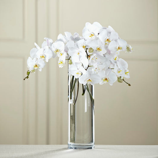 White Phalaenopsis Bouquet – THE SHOPPE ON KEY AVENUE FLORAL & GIFTS, Lampasas TX