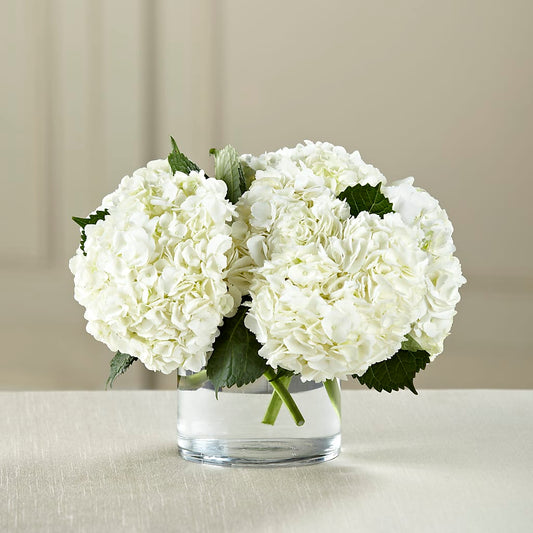 White Hydrangea Bouquet – THE SHOPPE ON KEY AVENUE FLORAL & GIFTS, Lampasas TX